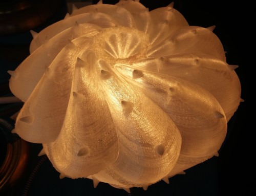 Desert Light -Cereus.Spiralis-